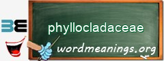 WordMeaning blackboard for phyllocladaceae
